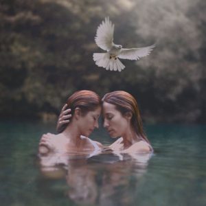 galeria de fotografia online