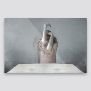 Fotografías de Ana Becerra - Magasé Art Gallery