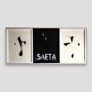 Patricio Hidalgo Saeta En Magase Art Gallery